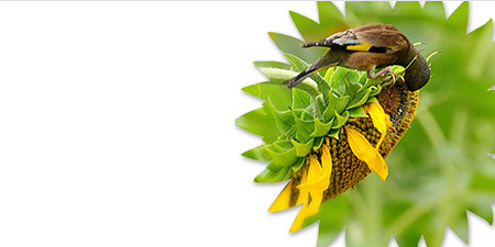 ���(y��)�a(ch��n)Ʒ���ďV��2